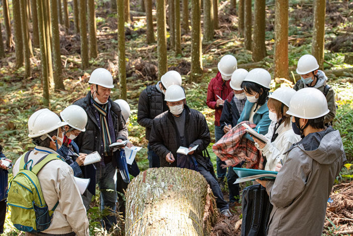 吉野杉見学 富山のものづくり ひのき伐採